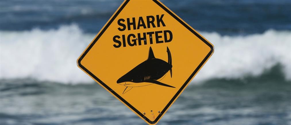 Αυστραλία: Πέθανε το 12χρονο αγόρι που είχε τραυματιστεί σοβαρά από καρχαρία